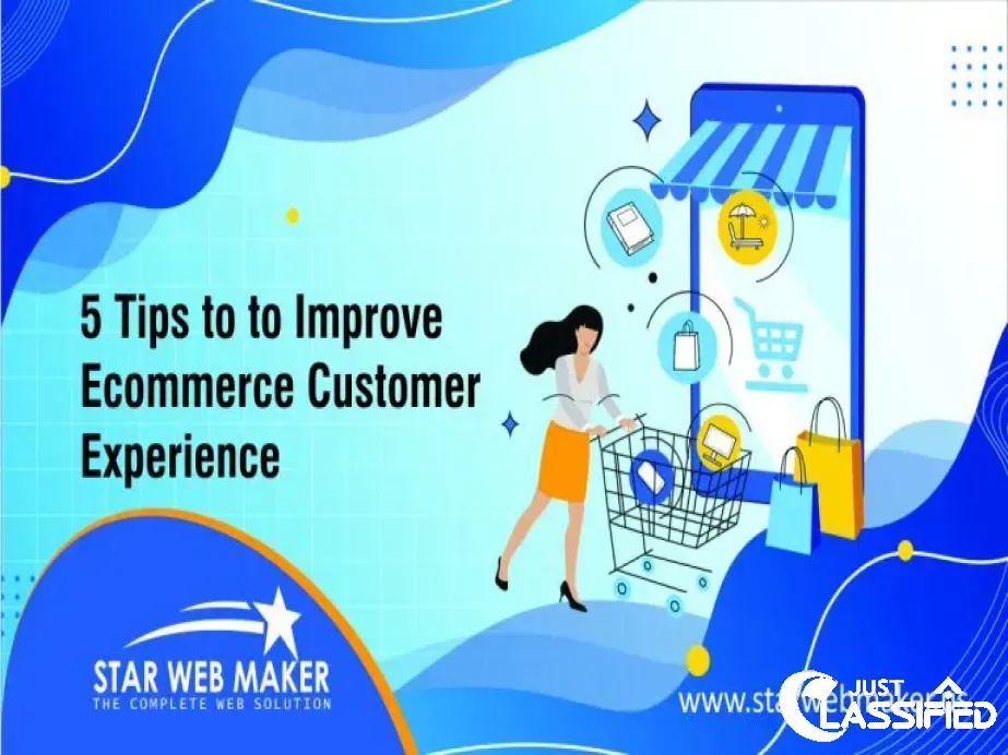 Powering Your Online Presence: The Role of a WordPress Development Company in USA